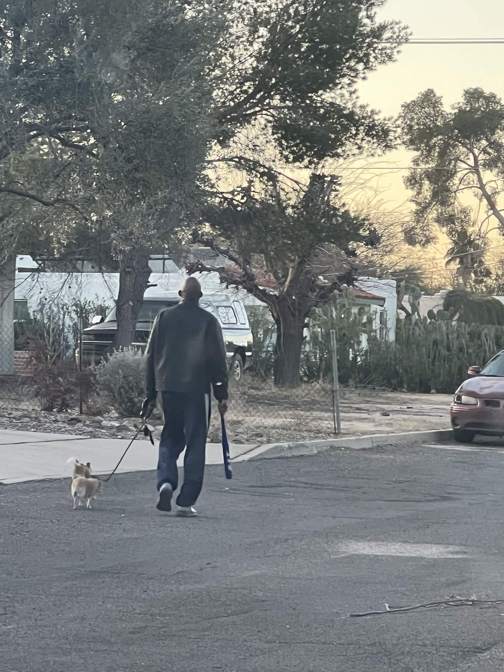 repeat sighting still