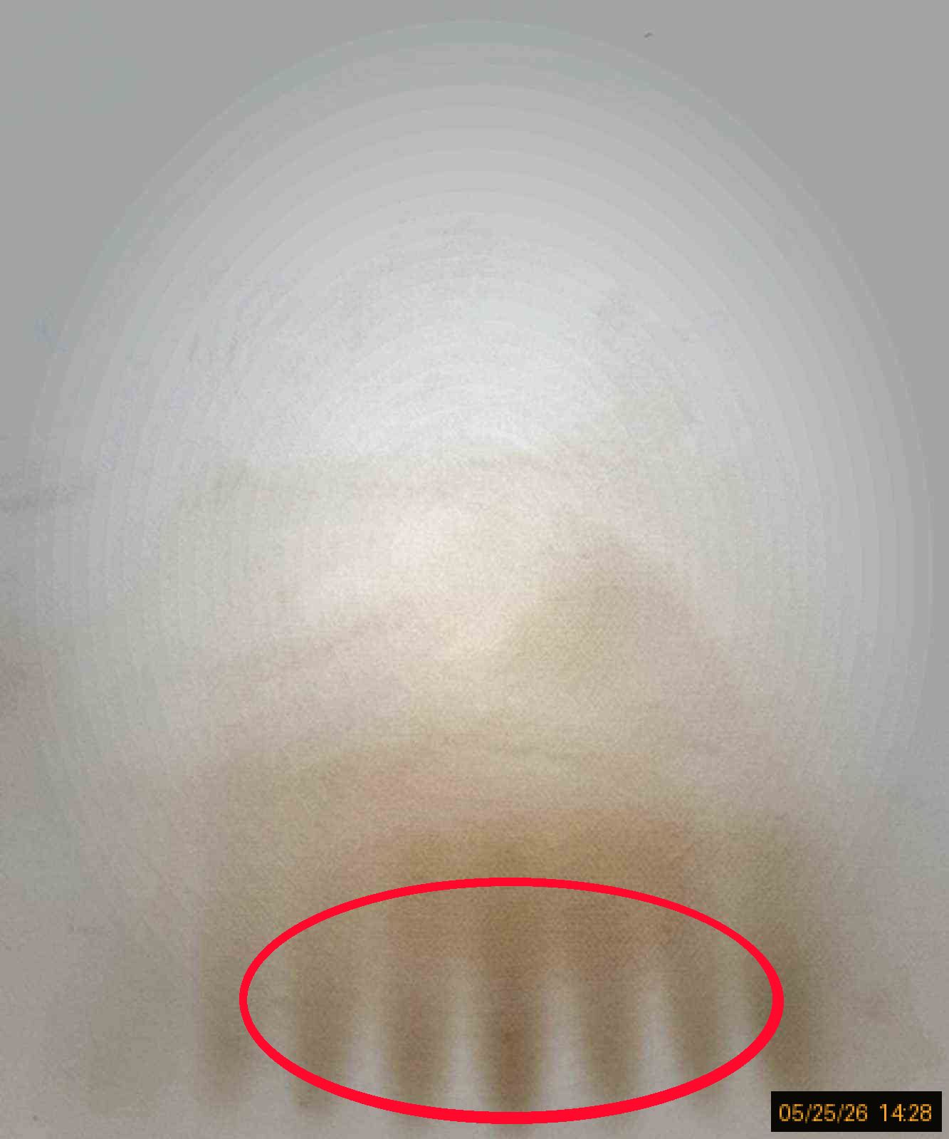 evidence